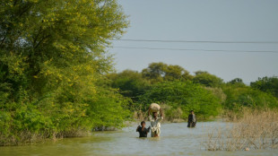 Les catastrophes naturelles font bondir les cas de paludisme au Malawi et au Pakistan