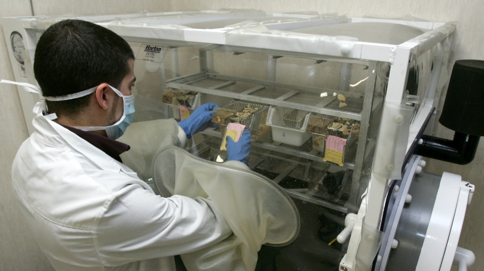 Dai guardiani del cervello una nuova arma contro l'Alzheimer