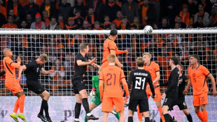 Dutch end Norway's unbeaten run as Haaland rests