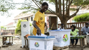 Bissau a vot&eacute; dans le calme aux &eacute;lections g&eacute;n&eacute;rales