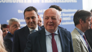 Pichetto, 'nucleare pronto in Italia nel 2033/34'