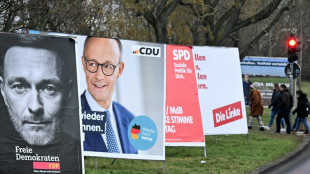 Insa-"Sonntagstrend": Union, Grüne und Linke verbessern sich leicht