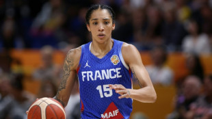 Mondial f&eacute;minin: les Bleues &agrave; pas de g&eacute;antes en demi-finales