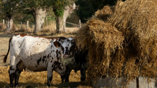 Plan pour l'agriculture: relancer la production et soutien aux plus fragiles, assure Genevard