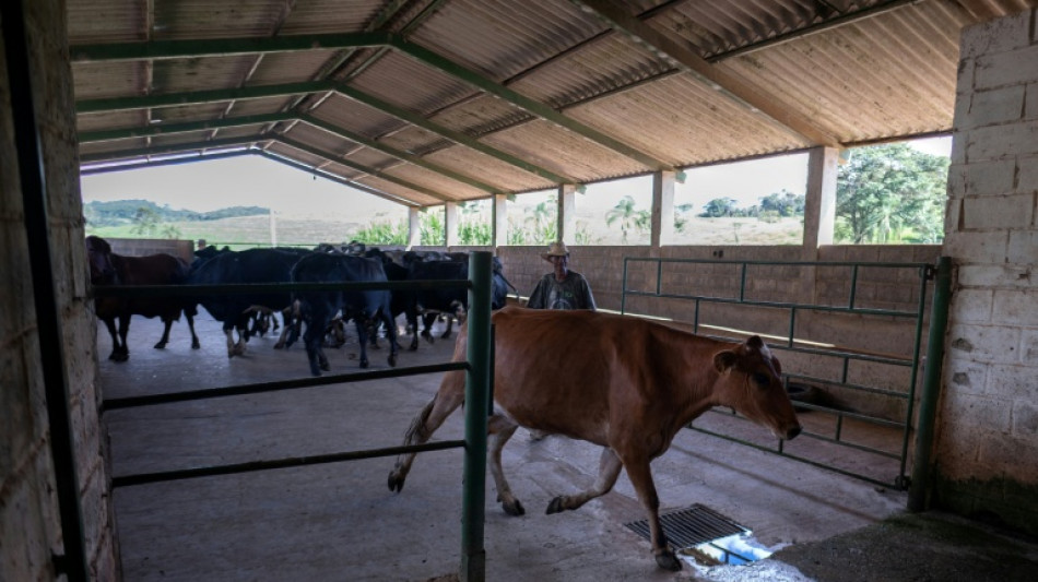 La econom&iacute;a brasile&ntilde;a crece en el tercer trimestre impulsada por el agro