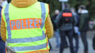 Polizei: Bewaffneter 20-J&auml;hriger z&uuml;ndet Pyrotechnik in ICE