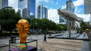 Torcedores da Costa do Marfim s&atilde;o vetados da Copa do Mundo nos EUA