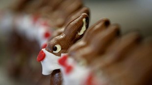 239 Millionen Schoko-Osterhasen zum diesjährigen Osterfest