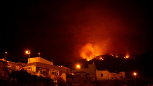 Canaries: quelque 26.000 évacuations à Tenerife, l'incendie toujours en cours