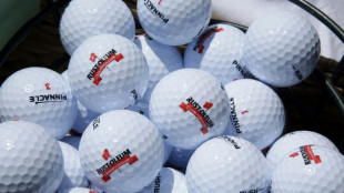 PGA players considering team-event series: reports