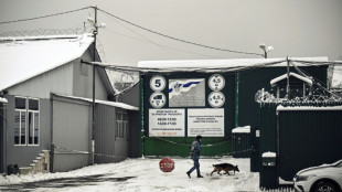 La "tierra de las c&aacute;rceles" donde Brittney Griner purga su pena en Rusia