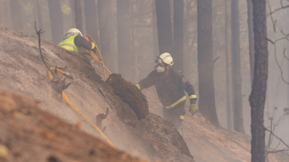 Espagne: l'incendie de Tenerife "partiellement stabilisé", mais pas contrôlé