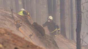 Espagne: l'incendie de Tenerife "partiellement stabilisé", mais pas contrôlé