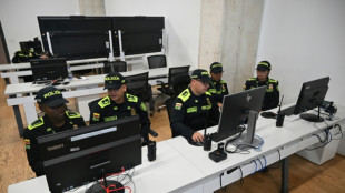 Los narcocultivos en Colombia aumentaron un 18% durante el gobierno de Petro, seg&uacute;n la polic&iacute;a