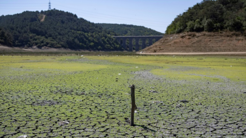 'Bad days await': Istanbul dams run low in summer heat