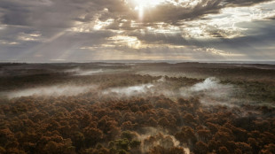 Incendies en Gironde: le feu "ma&icirc;tris&eacute;" &agrave; La Teste-de-Buch