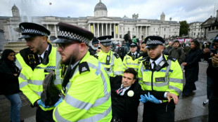 Royaume-Uni: la justice se penche sur l'interdiction critiqu&eacute;e d'un groupe propalestinien