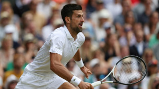 Wimbledon: Djokovic en habitu&eacute;, Eubanks en guest star