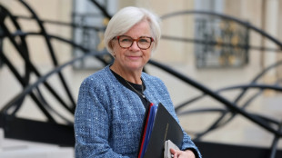 Francia afirma tener la capacidad de dotarse de un nuevo caza para 2040, tras el fracaso del SCAF