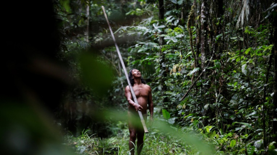 Les Equatoriens approuvent l'arr&ecirc;t d'un gisement p&eacute;trolier embl&eacute;matique dans une r&eacute;serve amazonienne