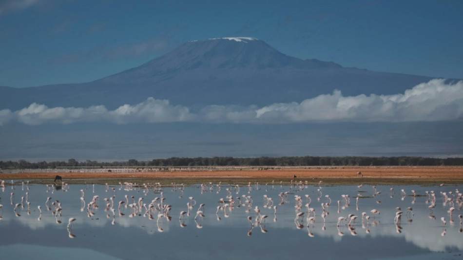 Internet: le Kilimandjaro en haut-d&eacute;bit