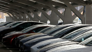 Tesla va cr&eacute;er 1.000 emplois d'ici fin juin dans son usine allemande