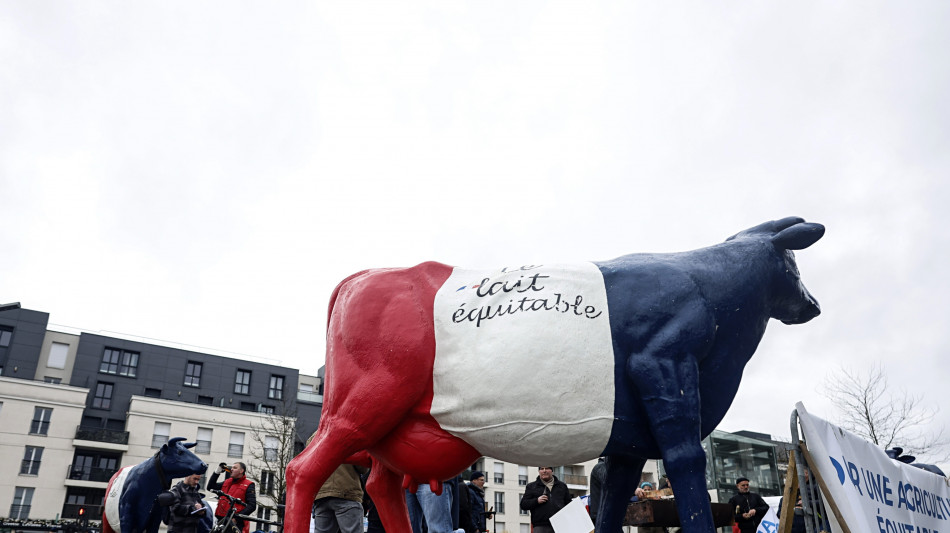 Fonti Ue, 'voto contrario dell'Eurocamera sul Mercosur fermerebbe iter di ratifica'