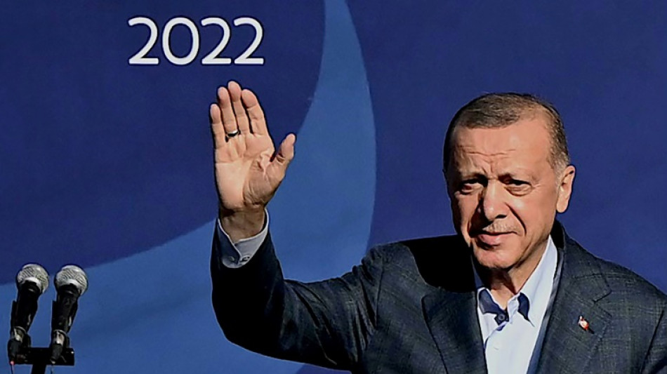 Erdogan renews threat to 'freeze' Swedish, Finnish NATO bids