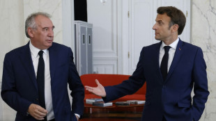Un tapis rouge d&eacute;roul&eacute; sans savoir, du vaudeville et pour finir... Bayrou 