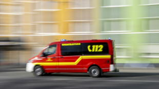 72-J&auml;hriger stirbt bei Absturz von Segelflugzeug in Niedersachsen