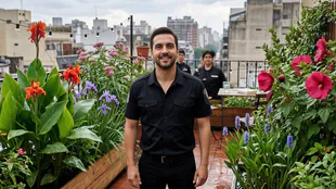 5 plantas ideales para jardines con exceso de agua y primavera lluviosa