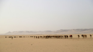 Medio centenar de personas mueren deshidratados en el desierto en N&iacute;ger