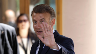 Macron, 'pronti a guida missione Hormuz con Gb, Olanda e Italia'