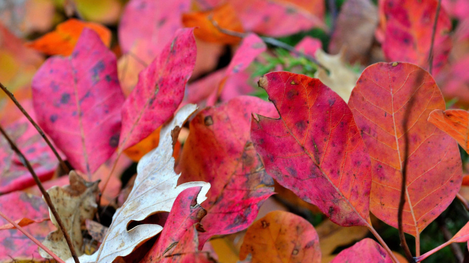 Estate agli sgoccioli, arriva l'equinozio d'autunno