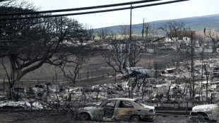 Condado de Maui demanda compa&ntilde;&iacute;a el&eacute;ctrica por letal incendio en Haw&aacute;i