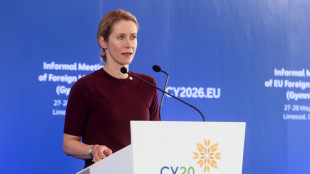 Kallas propone Aspides per lo sminamento di Hormuz, 'gesto politico Ue'