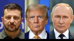 US-Vertreter: Selenskyj könnte an Trump-Putin-Gipfel in Alaska teilnehmen