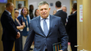 Slovakia says 'informed' EU it's halting military aid to Ukraine