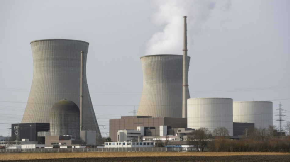AfD-Parteitag spricht sich f&uuml;r Bau neuer Atomkraftwerke aus