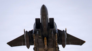 USA und Iran suchen weiterhin nach zweitem Besatzungsmitglied von abgest&uuml;rztem US-Kampfjet