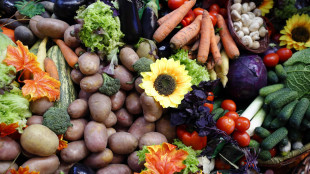 Ottobre al mercato,clima stabilizza prezzi di frutta e verdura, arrivano le castagne