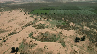 La "Grande muraille verte" de Chine: un pari écologique massif, mais à quel prix ?