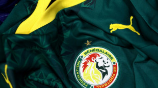 With visas denied, Senegal World Cup fans watch from afar