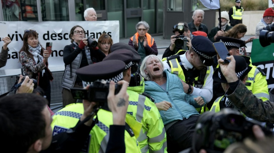UK police arrest Palestine Action supporters ahead of Supreme Court hearing