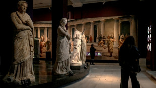 Turkey in cultural diplomacy push to bring history home