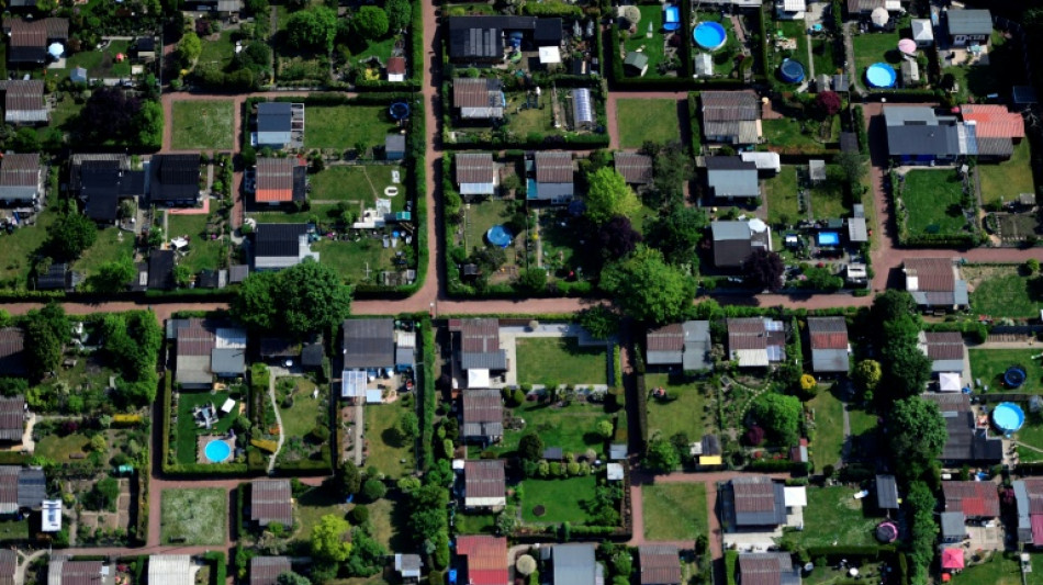 Betrunkener greift zu Akku-Schere - Hecke von Anwohner in L&uuml;neburg verunstaltet
