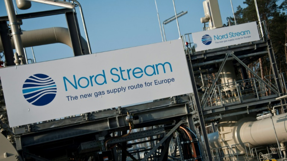 Sudores fr&iacute;os por el gas ruso en Alemania