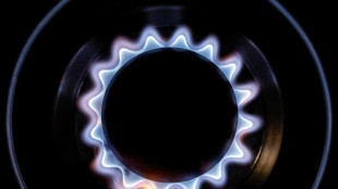 Il gas apre in rialzo ad Amsterdam (+1,6%)