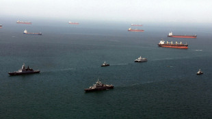 Imprenditrice, 'incertezza e costi supplementari per le merci in viaggio'