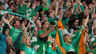 Irlanda se cita con Nueva Zelanda y Gales espera a &iquest;Argentina?